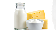 Dairy